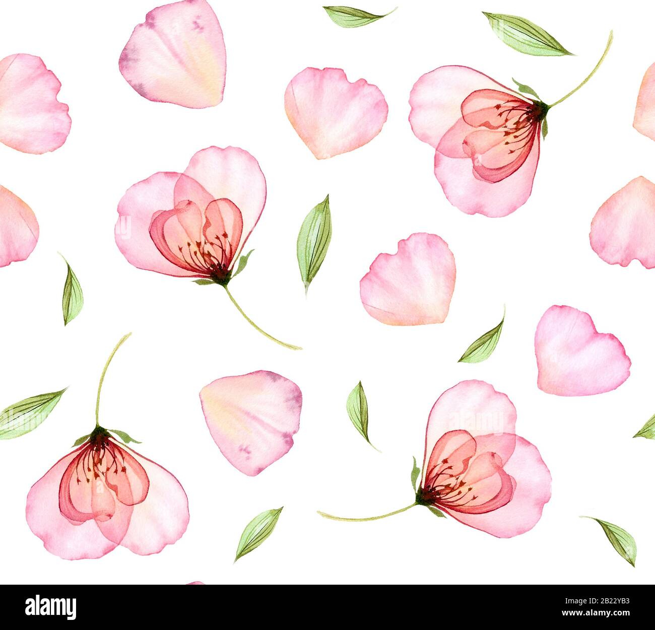 Aquarell, nahtloses Blumenmuster. Transparente Rosen und fliegende Kronblätter. Isolierte, handgezeichnete Illustration mit bunten Blumen für Tapetendesign Stockfoto