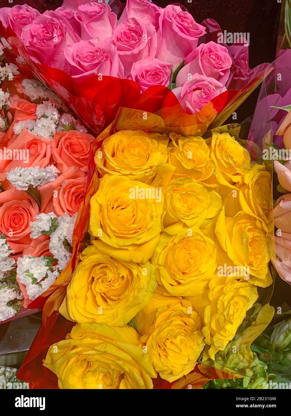 Bunte Blumenaufnahmen im Geschäft, Panama, Mittelamerika Stockfoto