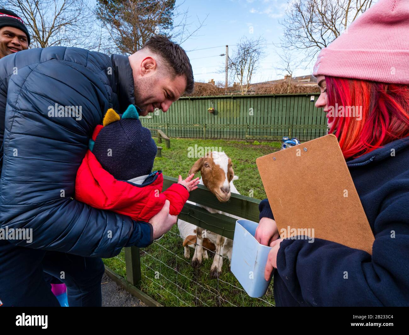 Edinburgh, Schottland, Großbritannien, 29. Februar 2020. "Love Gorgie Farm Opening": Lokale Berühmtheiten, darunter Spieler aus Hearts und Hibernian Footballteams, Schottland und Edinburgh Rugbyspieler & Lokalpolitiker und vertreter des rates. Love Gorgie Farm hat zum Ziel, die Bildungs- und Lebenschancen von schutzbedürftigen Kindern, Jugendlichen und Erwachsenen zu verbessern. Es ist 7 Tage die Woche geöffnet und bietet Bildungs-, Umwelt- und Sozialprogramme. Fraser McKenzie, Edinburgh Rugbyspieler und sein Baby-Sohn Warren ernähren sich von einem billy-ziegenkind Stockfoto