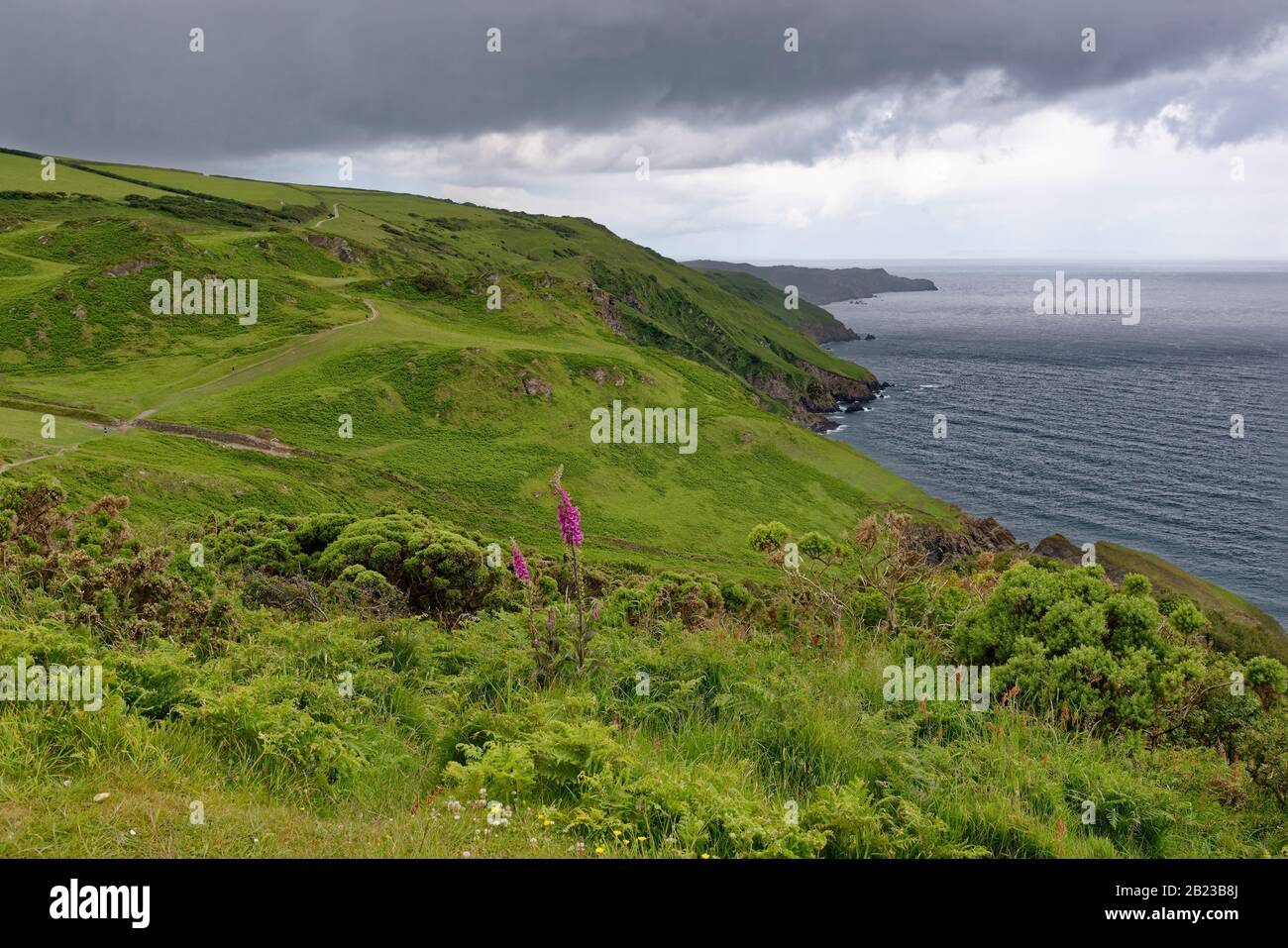 North Devon Coast von Torrs Park Blick nach Westen von Seven Hills in Richtung Flat Point, Ilfracombe, Devon, Großbritannien Stockfoto
