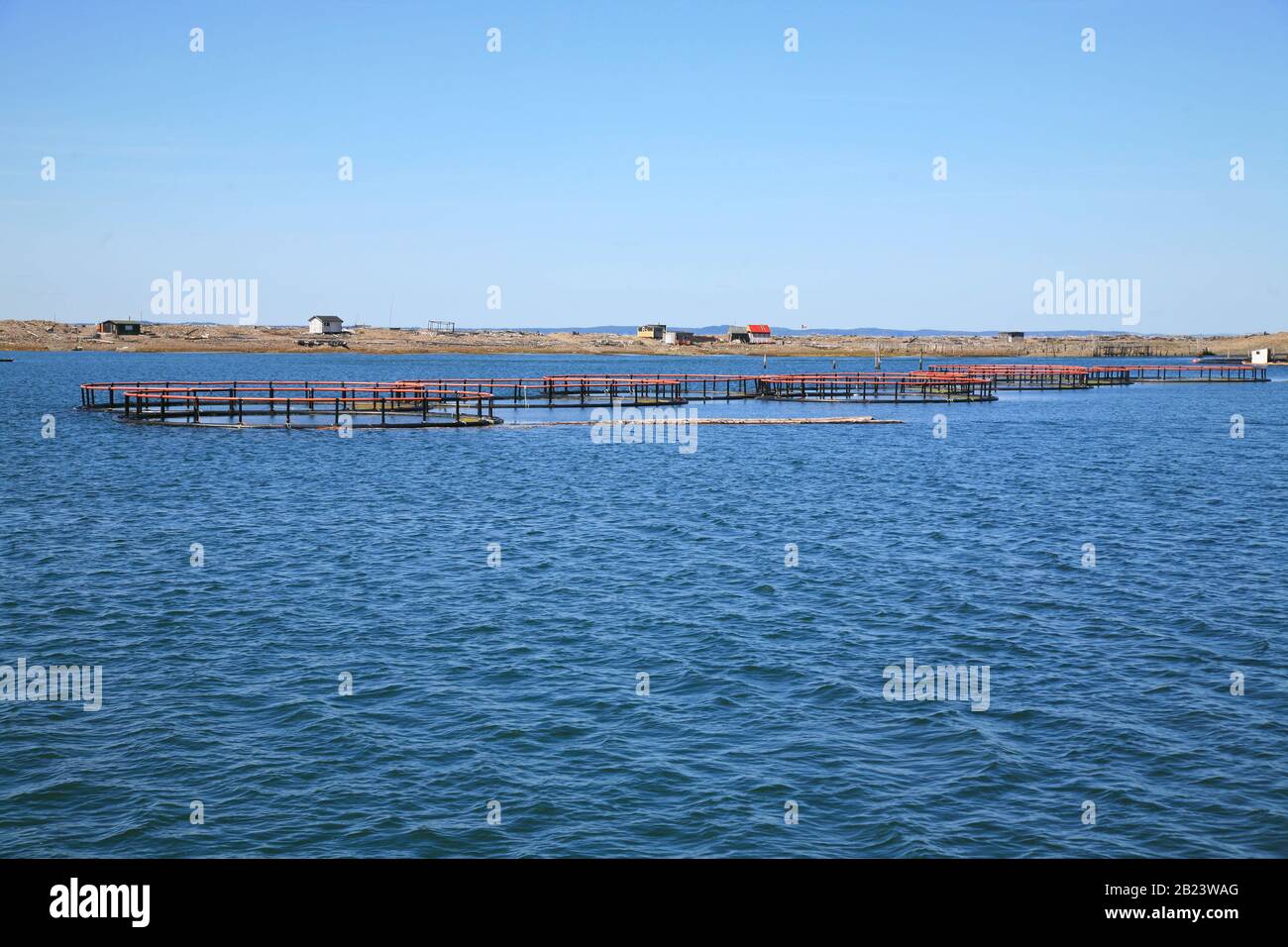 Grand Manan Island ist eine kleine Insel der Küste von New Brunswick an der Atlantikküste Kanadas. Stockfoto