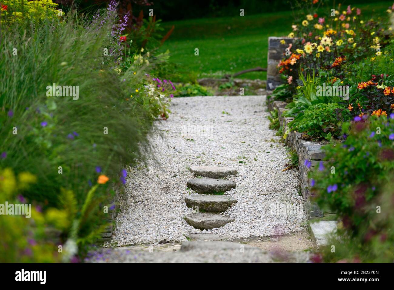 Treppen, Steinstufen, Schritt, Gartenfunktion, Gartendesign, flache Tiefe des Feldes,, Garten, Gärten, krautige Grenze, Mischung, mi Stockfoto