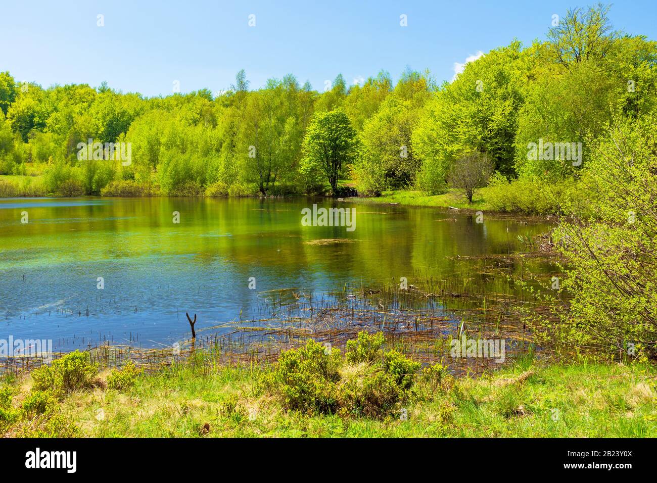 Landschaft am Bergsee inmitten von Nadelwald. Wundervolle Naturlandschaft im Frühling um die Mittagszeit. Stockfoto