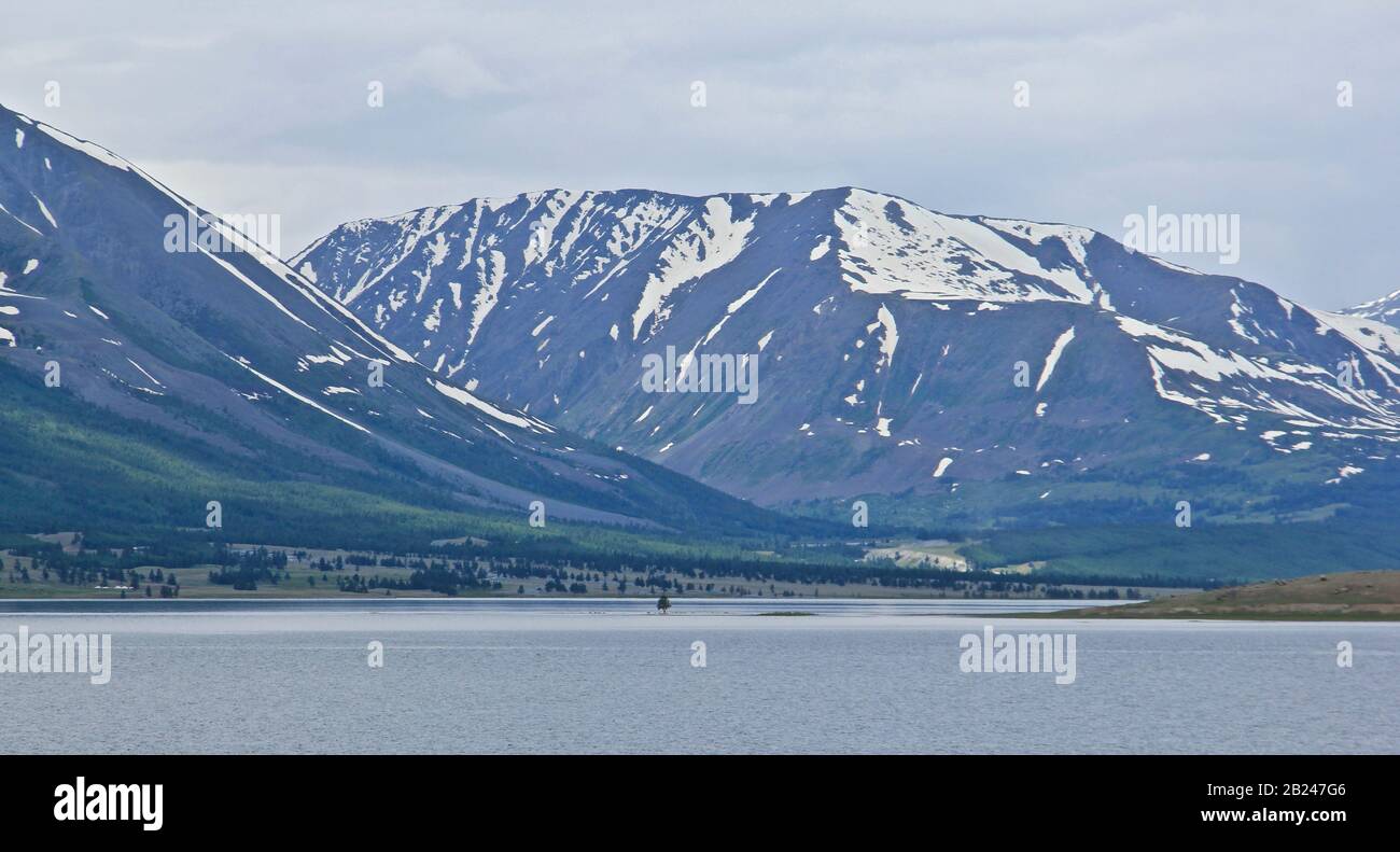 Westliche mongolische Wildnatur Stockfoto