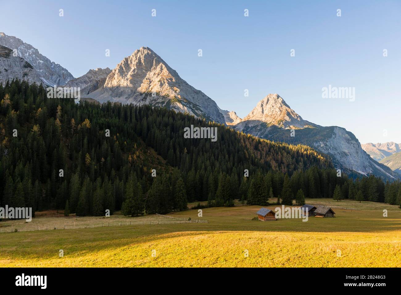 Alpenhütten in Wiese, Alpenlandschaft, Ehrwalder Alm, rechts Ehrwalder Sonnenspitze, Mittelvorsprung Tajakopf und Hinterer Tajakopf, Ehrwald Stockfoto
