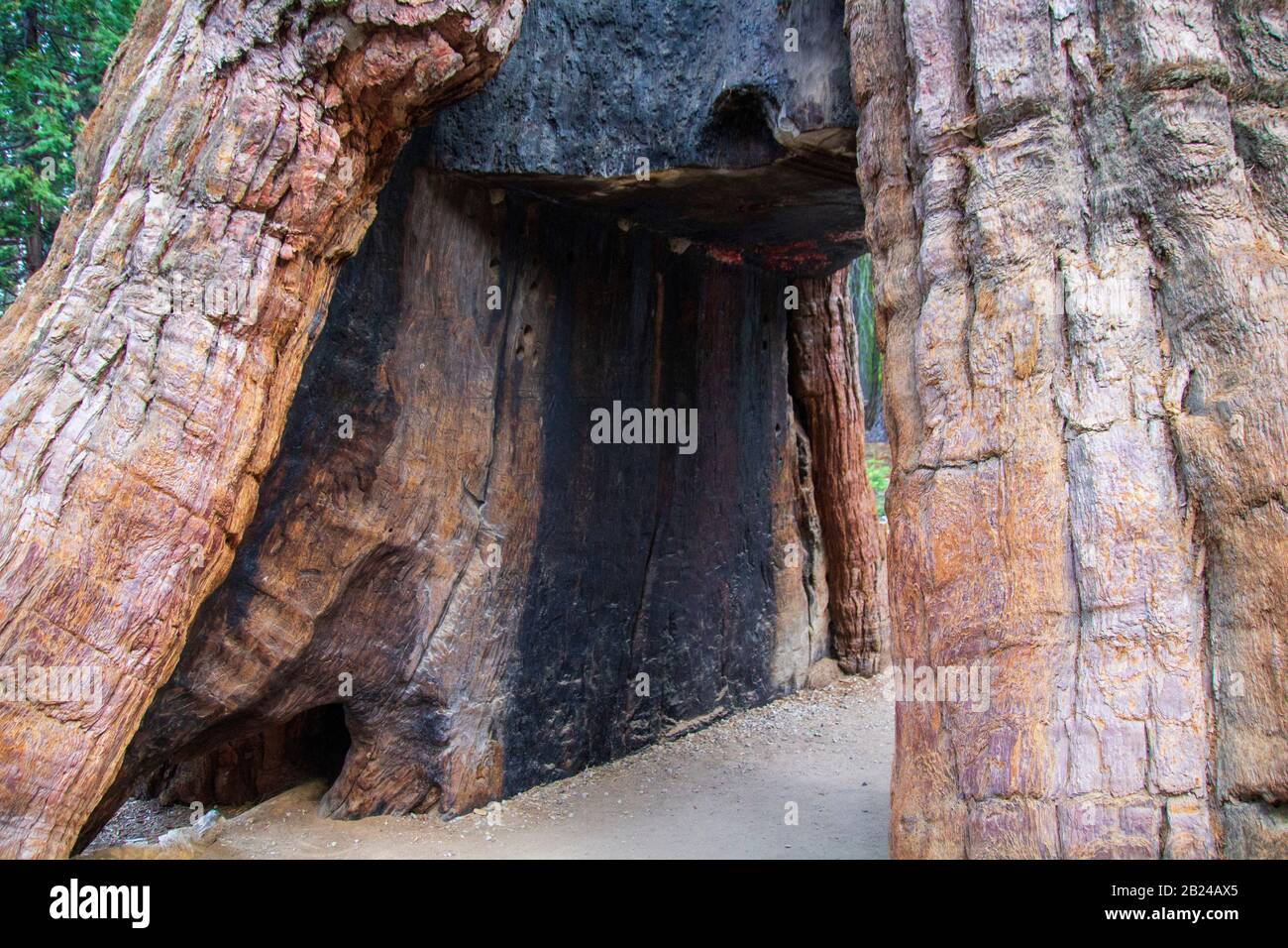 Yosemite Herbst 2019 Stockfoto