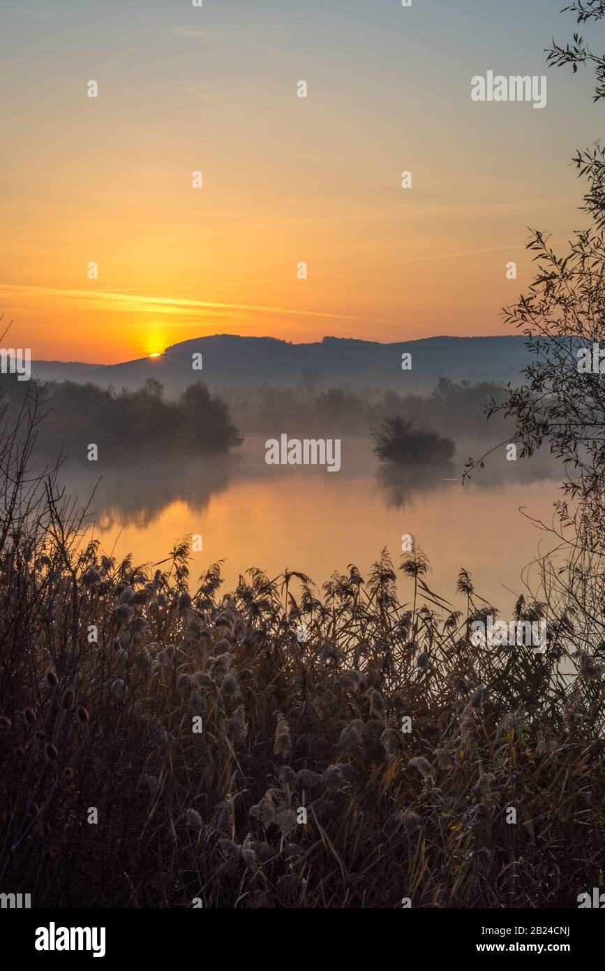 Schöne Farben des Sonnenaufgangs über einem Hügel und Fluss Mures in Siebenbürgen, Rumänien Stockfoto