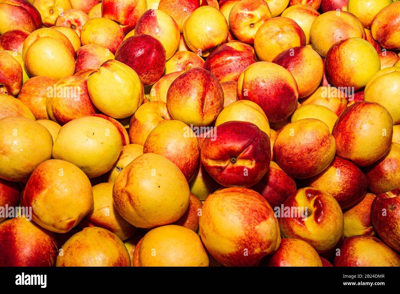 Hochenergetische antioxidative Lebensmittel, saftige Neactarine, Superfrucht auf dem lokalen Obstmarkt. Ernährungskonzept für das Gesundheitswesen. Stockfoto