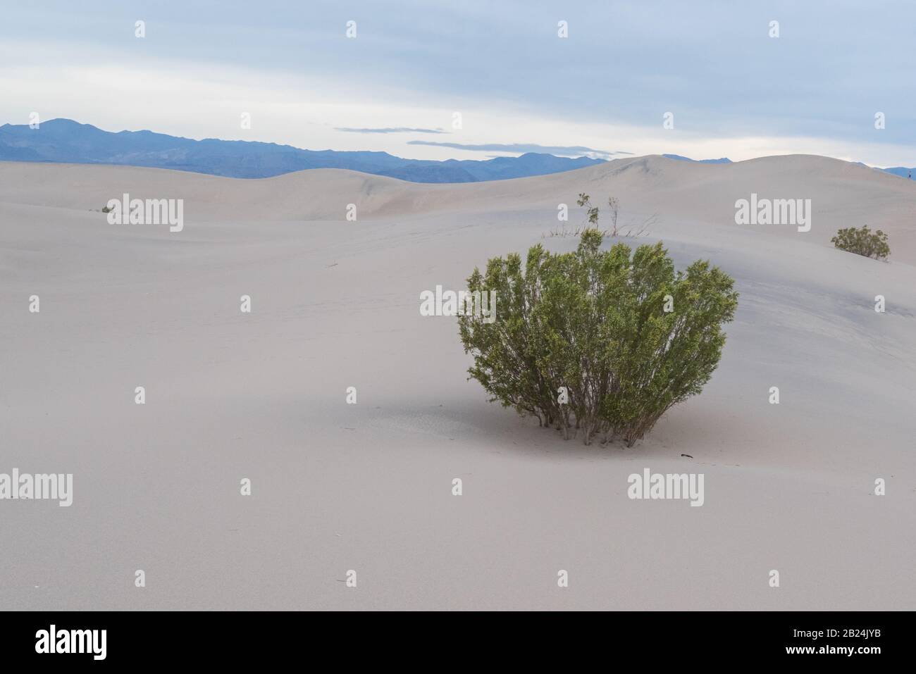 Schöne Mesquite Flat Sand Dunes im Todes-Valley-Nationalpark Kalifornien USA. Stockfoto