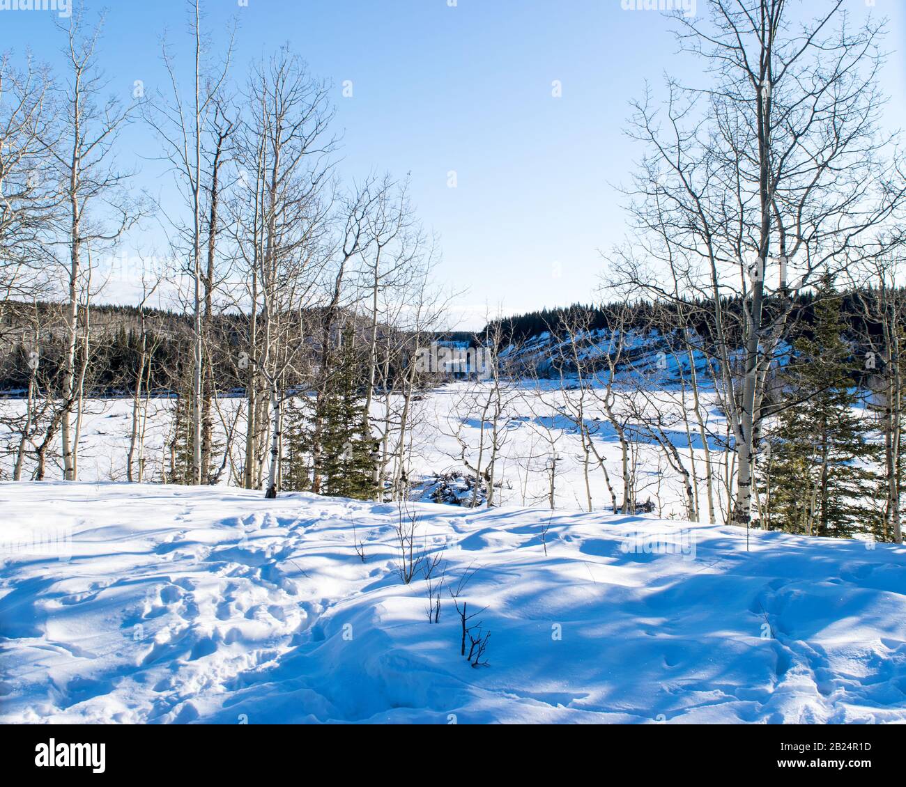 Winter-&amp; Schneeschuhwandern Stockfoto