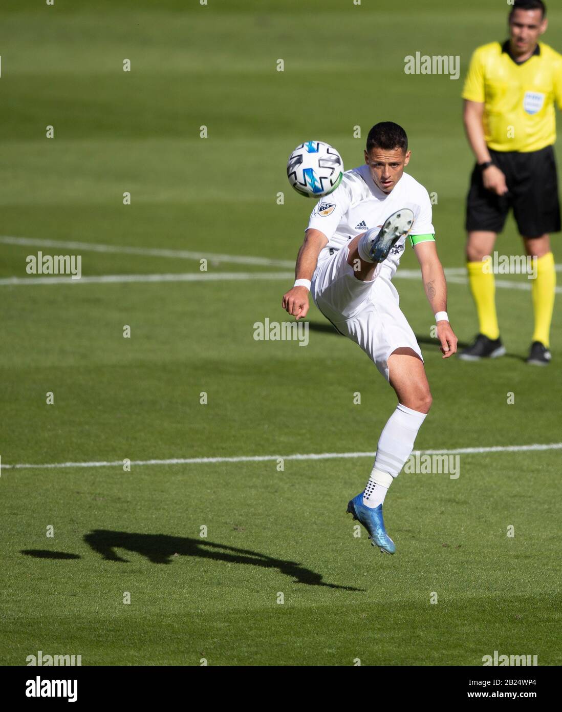 Houston, Texas, USA. Februar 2020. Los Angeles Galaxy Forward Javier Hernandez (14) Volleys der Ball während der ersten Halbzeit gegen den Houston Dynamo im BBVA Stadium in Houston, Texas. Maria Lysaker/CSM/Alamy Live News Stockfoto