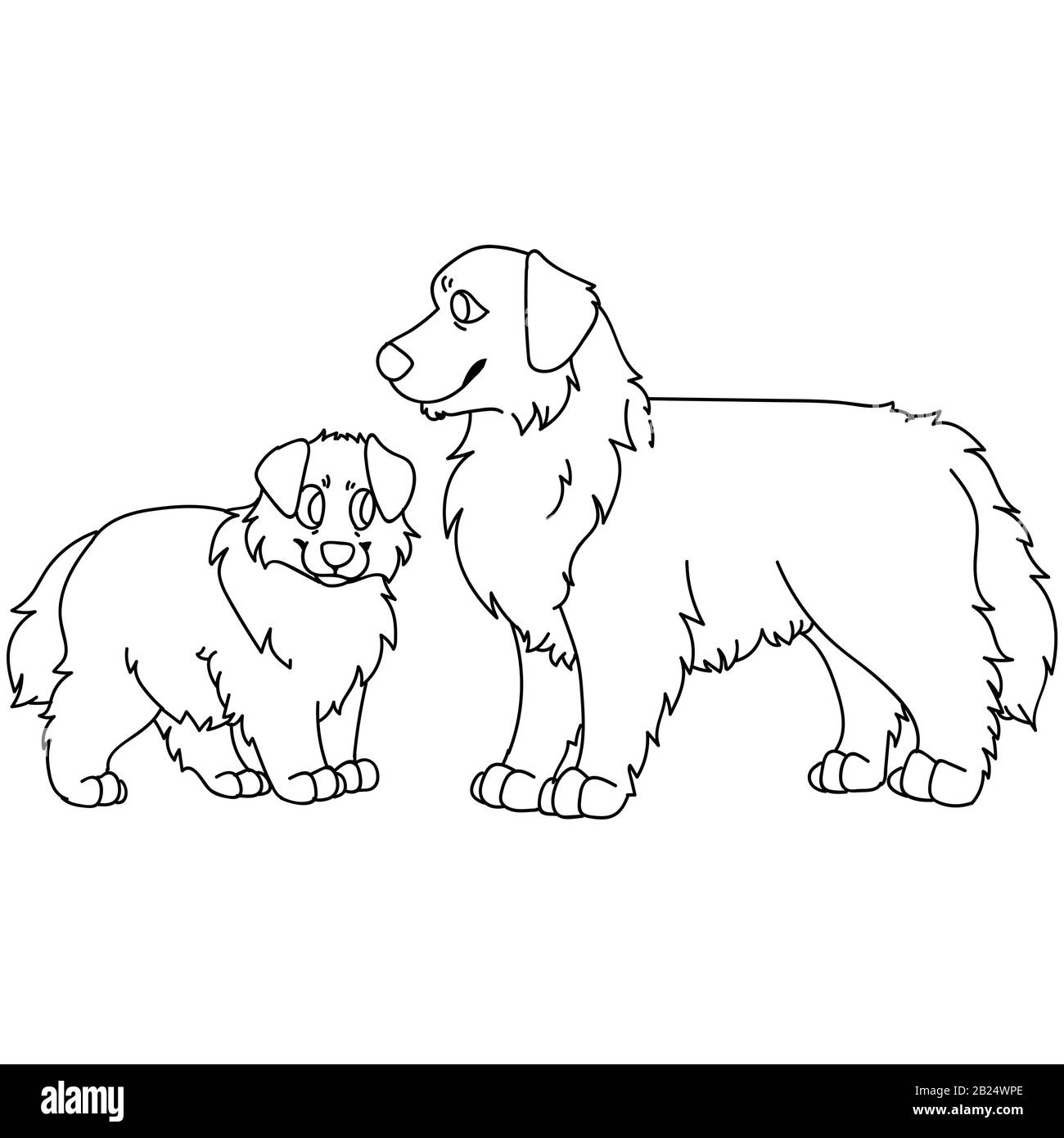 Cute Carton Australian Shepherd Dog and Puppy Breed Lineart Vector Clipart. Stammbaum Zwingerdoggie für Hundefreunde. Reinrassige Haustier für Haustiere Stock Vektor