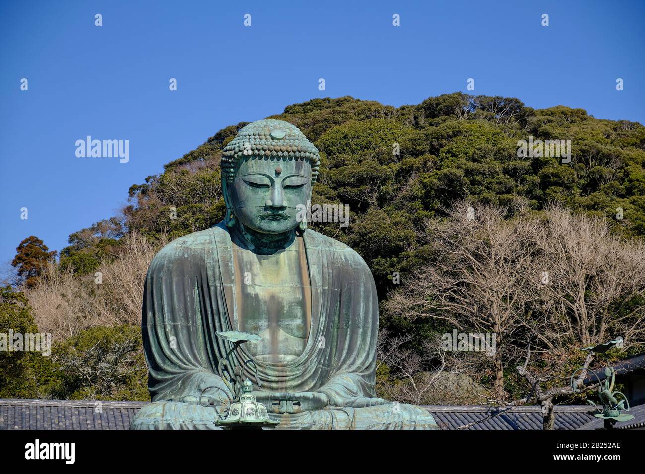 Der riesige Buddha aus Bronze (Daibutsu) im Kotoku-in-Tempel in Kamakura, Japan. Stockfoto