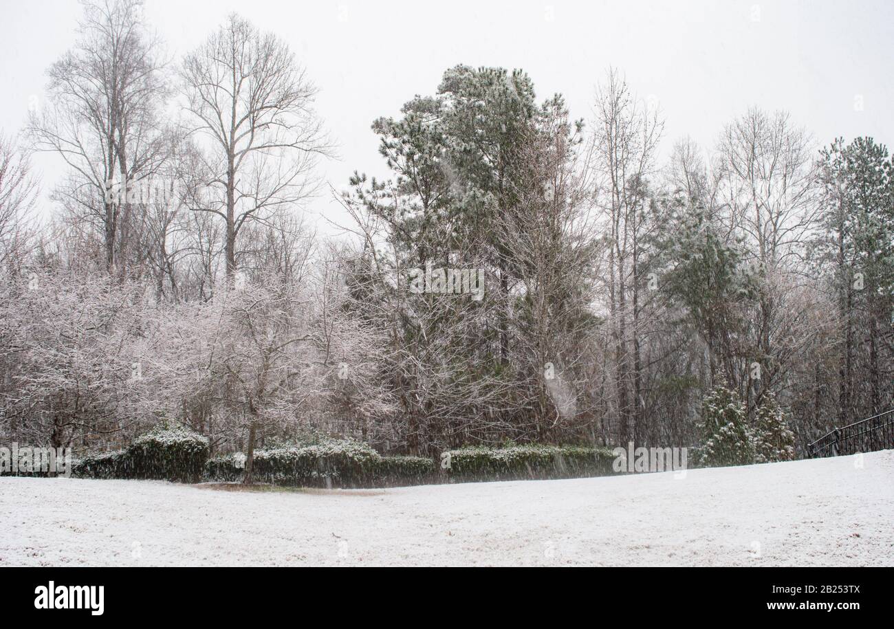 Schneetag in North Carolina Stockfoto