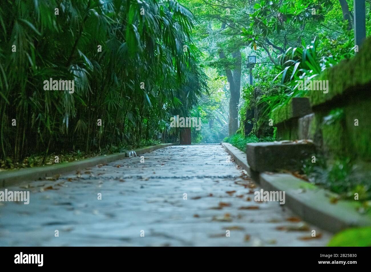 Trail im Park. Grüne Bäume Pflanzen. Steinweg. Geeignet für eine entspannende Umgebung. Dies ist ein sehr komfortabler Park Stockfoto