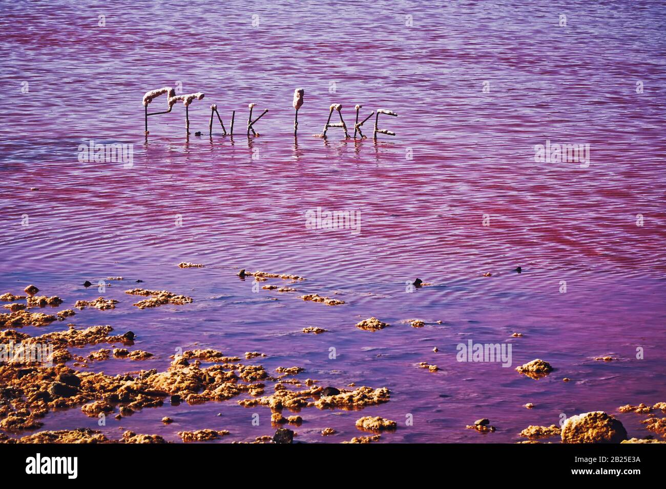 Rosafarbene Salzseen im Westen australiens in der Nähe von Port Gregory die Seen wechseln durch das Spektrum von Rot zu Bubble-gum pink zu lilafarben lila es wird von füttert Stockfoto