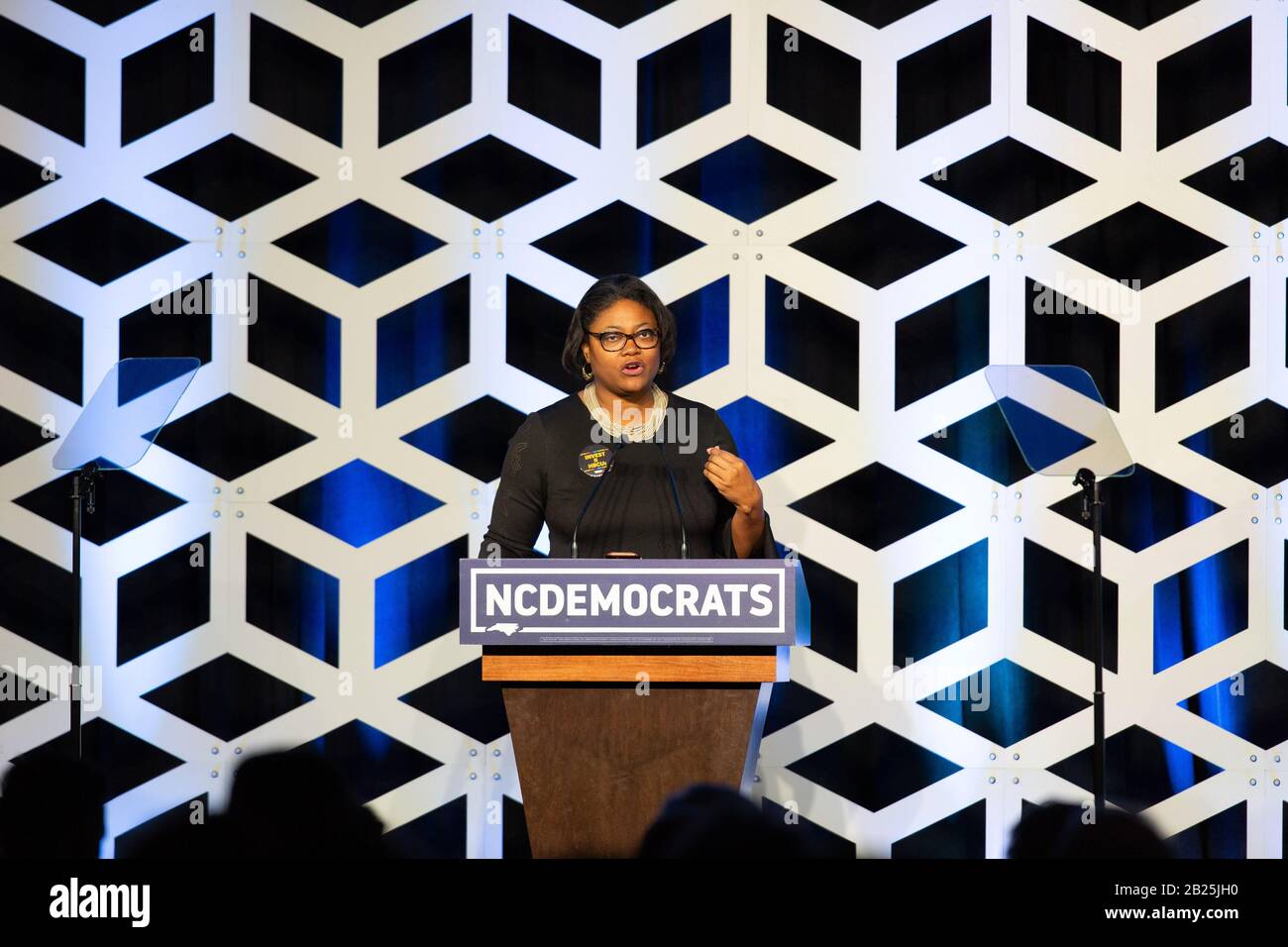 Charlotte, USA. Februar 2020. Berna Rhodes Ford spricht auf der Blue NC-Feier im Hilton Charlotte University Place Hotel am 29. Februar 2020 in Charlotte, North Carolina. Credit: The Photo Access/Alamy Live News Stockfoto