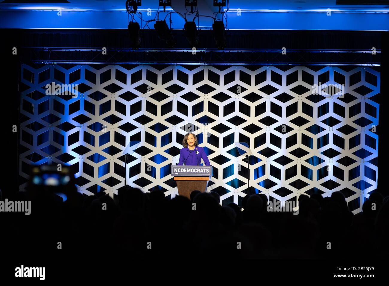 Charlotte, USA. Februar 2020. Die Kongressabgeordnete aus Delaware, Lisa Blunt Rochester, spricht bei der Blue NC-Feier im Hilton Charlotte University Place Hotel am 29. Februar 2020 in Charlotte, North Carolina. Credit: The Photo Access/Alamy Live News Stockfoto