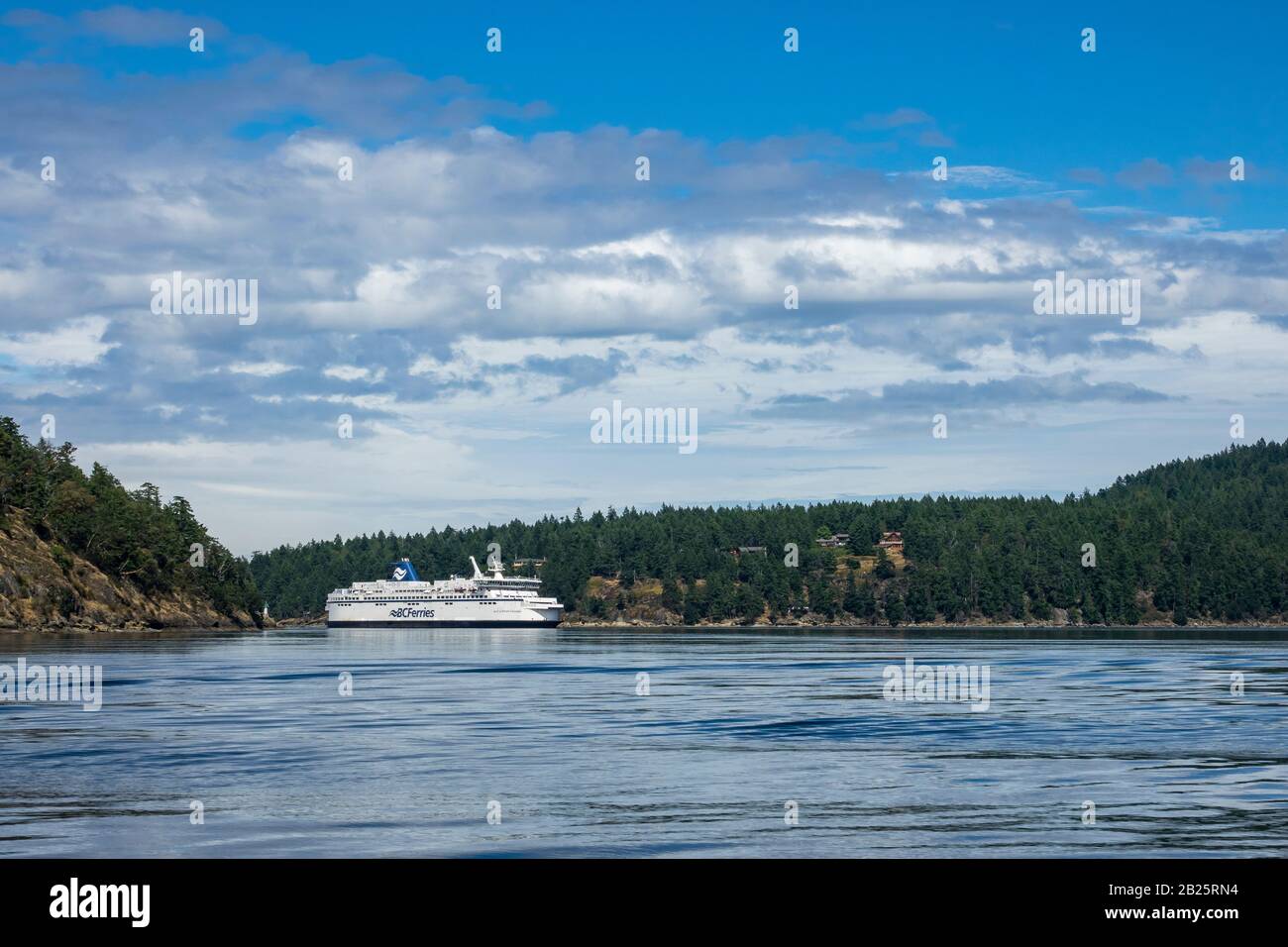 Orcas in Active Pass zwischen den Galiano- und Mayne-Inseln, British Columbia, Kanada Stockfoto