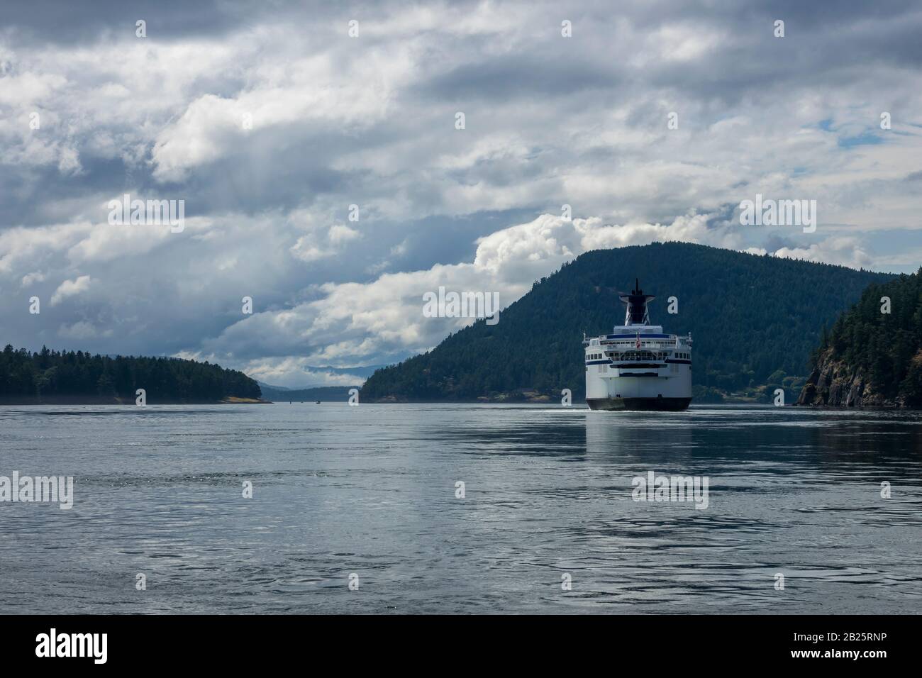 Orcas in Active Pass zwischen den Galiano- und Mayne-Inseln, British Columbia, Kanada Stockfoto