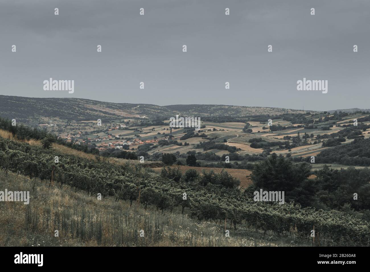 Weinberge und Felder vor dem kleinen Dorf in Rahovec im Kosovo Stockfoto