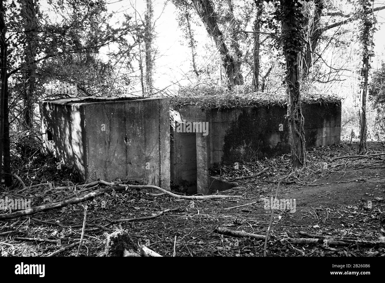 Die Ruinen eines alten Hauses tief im Wald, das einst als Hotel genutzt wurde, aber vor langer Zeit nach einer Auseinandersetzung zwischen einer Frau und einem Ehemann brannte Stockfoto