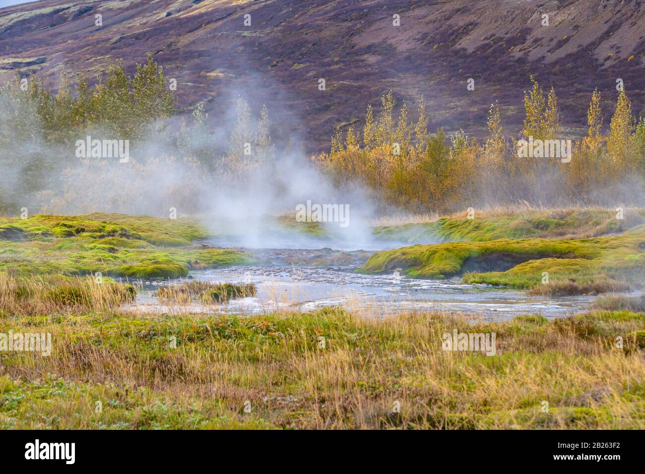 Geysir Golden Circle in Island Geothermal Hot Springs schlammige aktive Landschaft Stockfoto