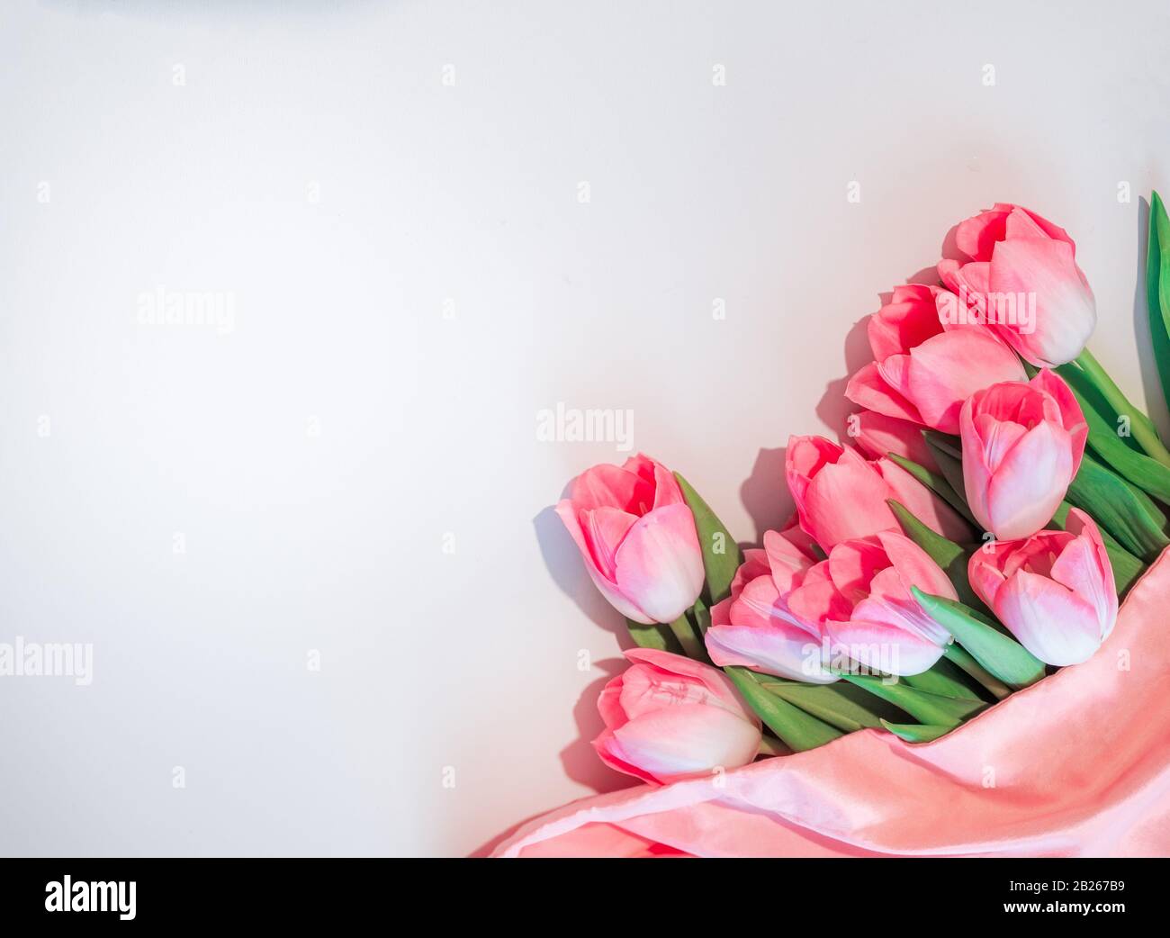 Rosa Blumen weißer Hintergrund. Blumenstrauß Rosen-Tulpen in der rechten unteren Ecke auf einem isolierten weißen Hintergrund. Flaches Lay Mock oben, Draufsicht Stockfoto