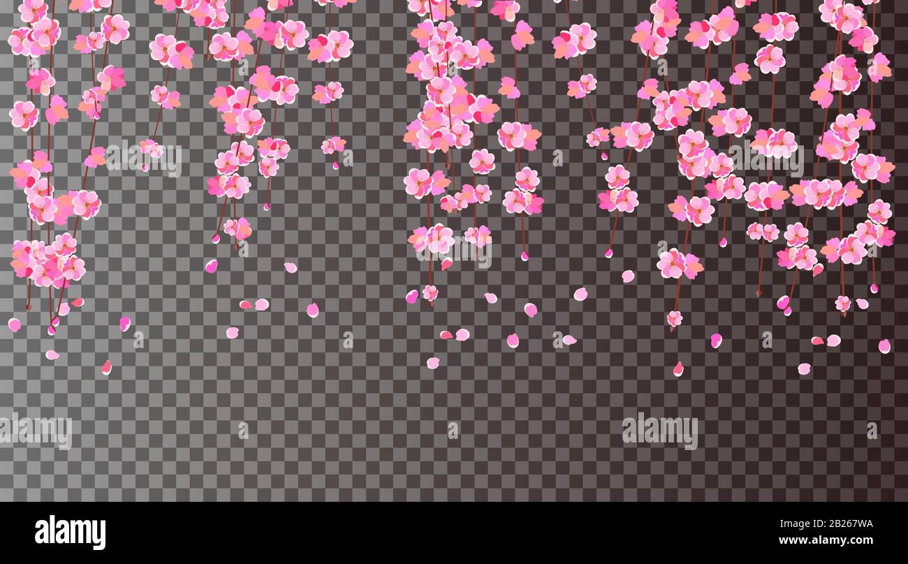 Sakura. Kirschzweige mit zarten rosafarbenen Blumen und Knospen. Die Petalen fallen. Auf transparentem Hintergrund. Vektorgrafiken Stock Vektor