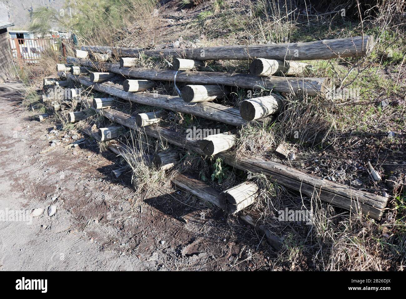 Escursione al Parco Nazionale del Vesuvio Stockfoto