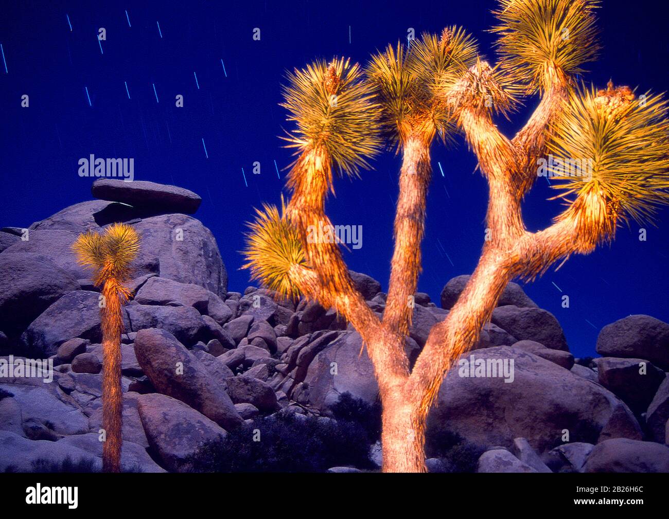 Was Kostet Einen Nacht Im Joshua Tree Park www.alamy.de