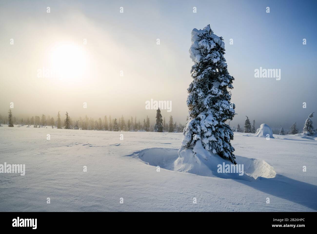 Bei Aakenustunturi fiel in der Nähe von Yllästunturi Fell, Lappland, Finnland Stockfoto