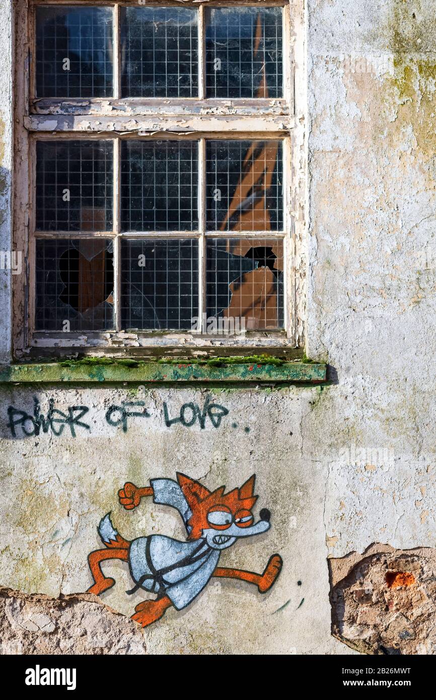Graffiti an der Fuchswand mit Fensterscheibe, Spritzlackierkunst, verderbtes Gebäude Stockfoto
