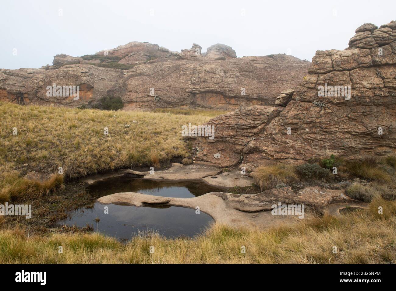 Rockpool, Sehlabathebe National Park, Lesotho Stockfoto