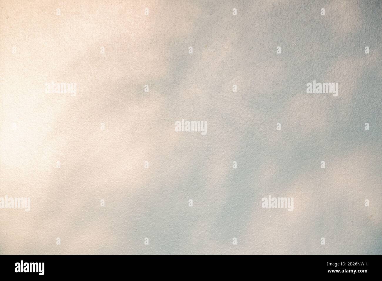 Schwarz-weiß abstrakter Hintergrundtextuer von Schattenblättern auf einem Betonwal Stockfoto