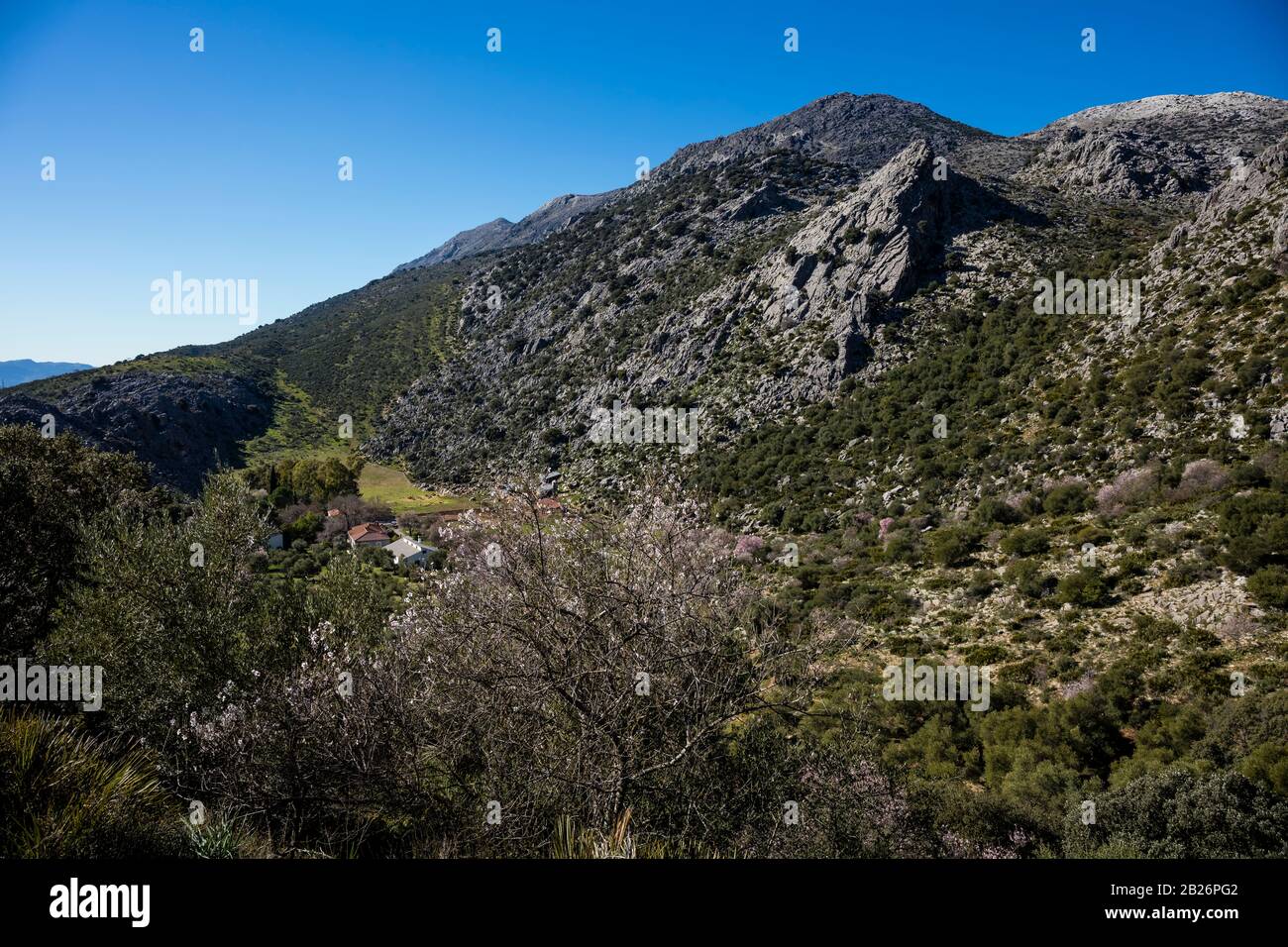 Landschaft Sierra de Grazalema in der Provinz Málaga, Andalusien, Spanien. Stockfoto