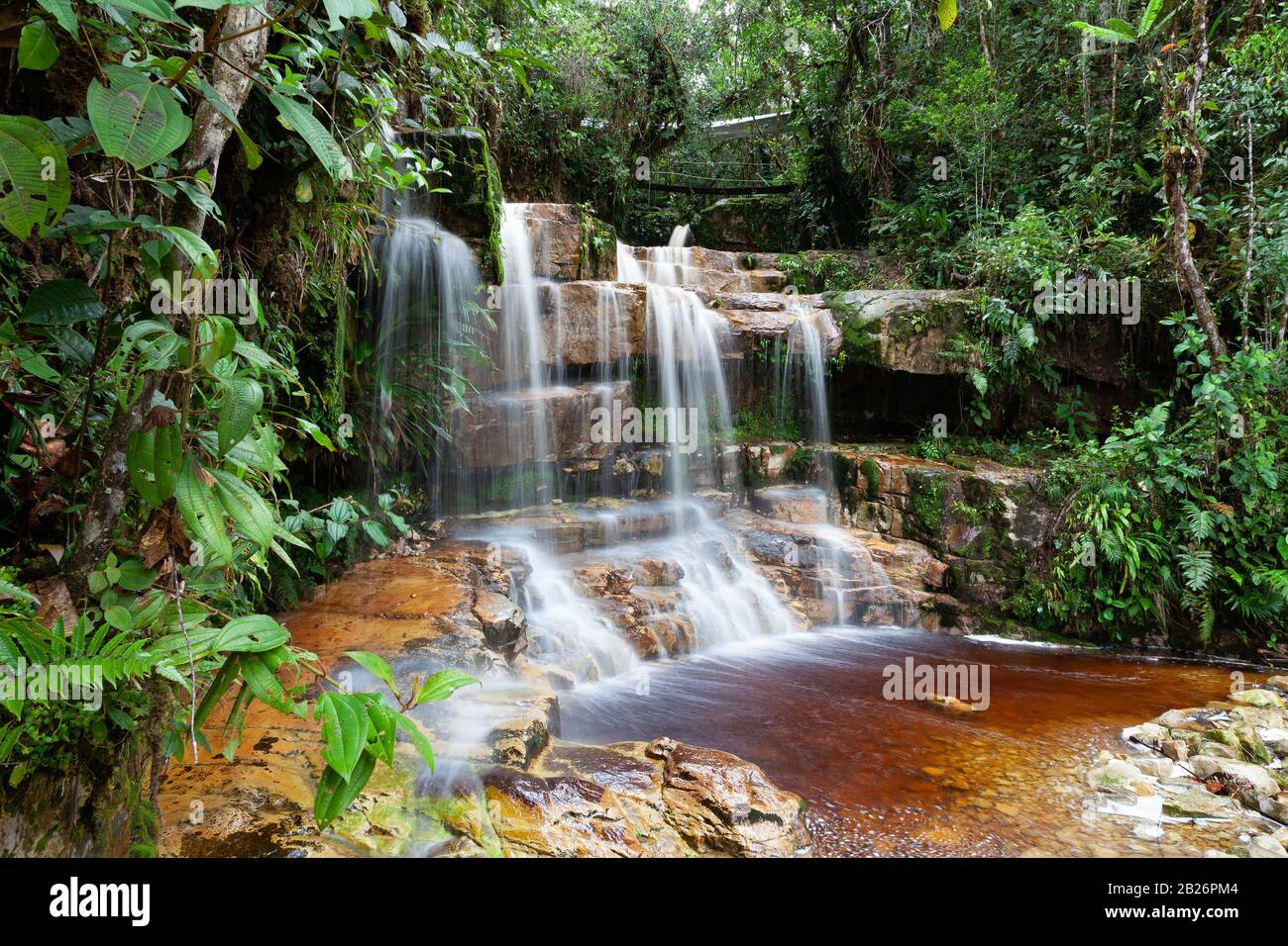 Malerischer Fluss im Regenwald Stockfoto