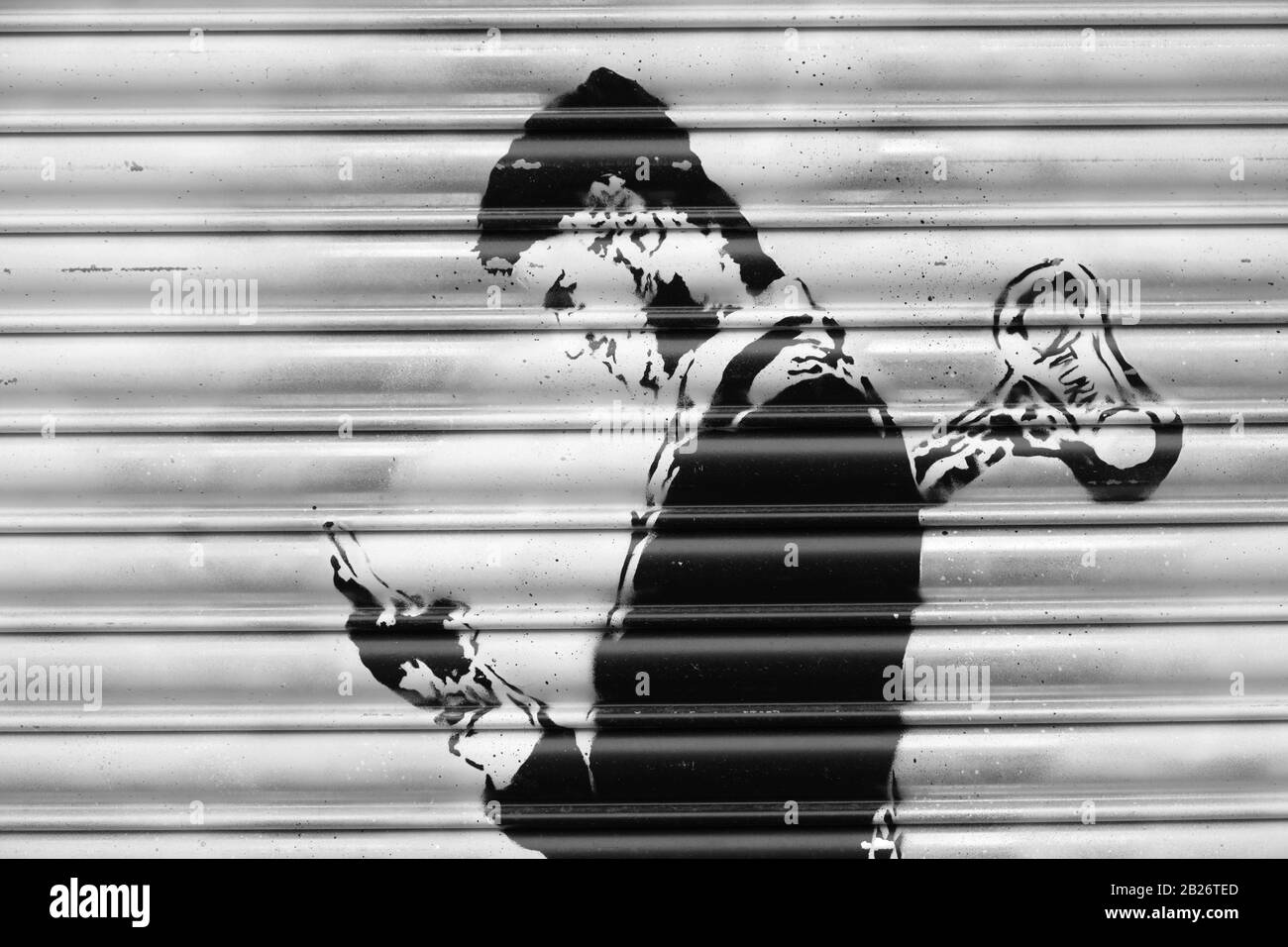 Straßen- und Stadtfotografien entlang der Portobello Road in London Stockfoto