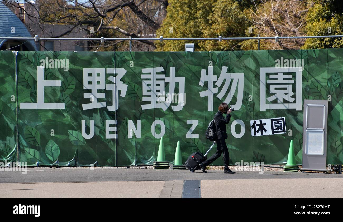 Tokio, Japan. März 2020. Menschen mit Gesichtsmaske besuchen den Ueno Park in Tokio, Japan am Sonntag, 1. März 2020. Japans Regierungsanfrage, landesweit ein großes Ereignis zu annullieren oder zu verschieben, um die Ausbreitung des neuen Coronavirus zu kontrollieren. Foto von Keizo Mori/UPI Credit: UPI/Alamy Live News Stockfoto