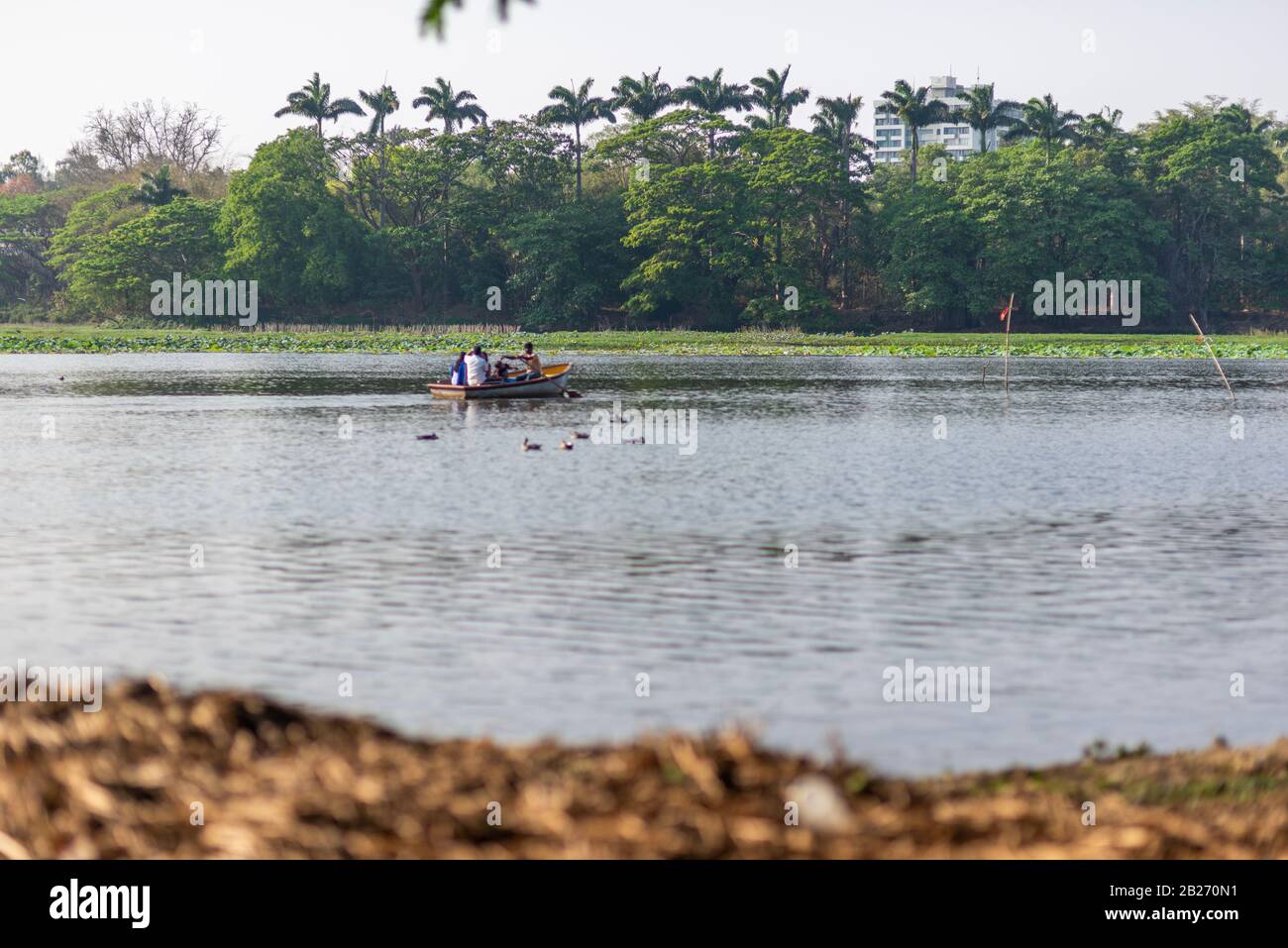 Am Karanji Lake am Ende des Nachmittags, Mysore, Indien, ist eine Gruppe von nicht erkennbaren vier Personen Bootstouren Stockfoto