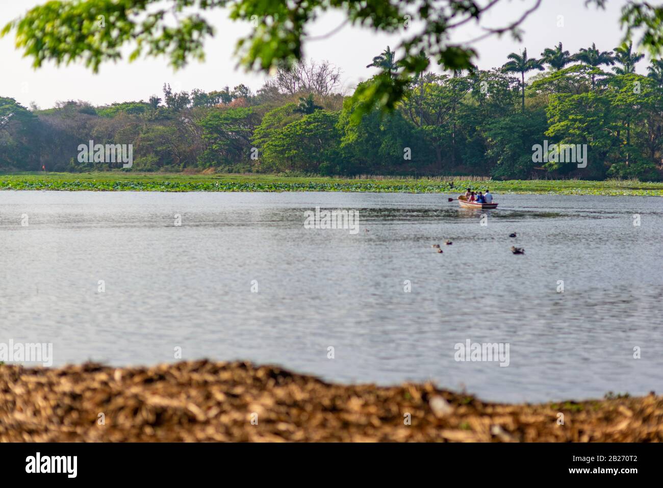 Am Karanji Lake am Ende des Nachmittags, Mysore, Indien, ist eine Gruppe von nicht erkennbaren vier Personen Bootstouren Stockfoto