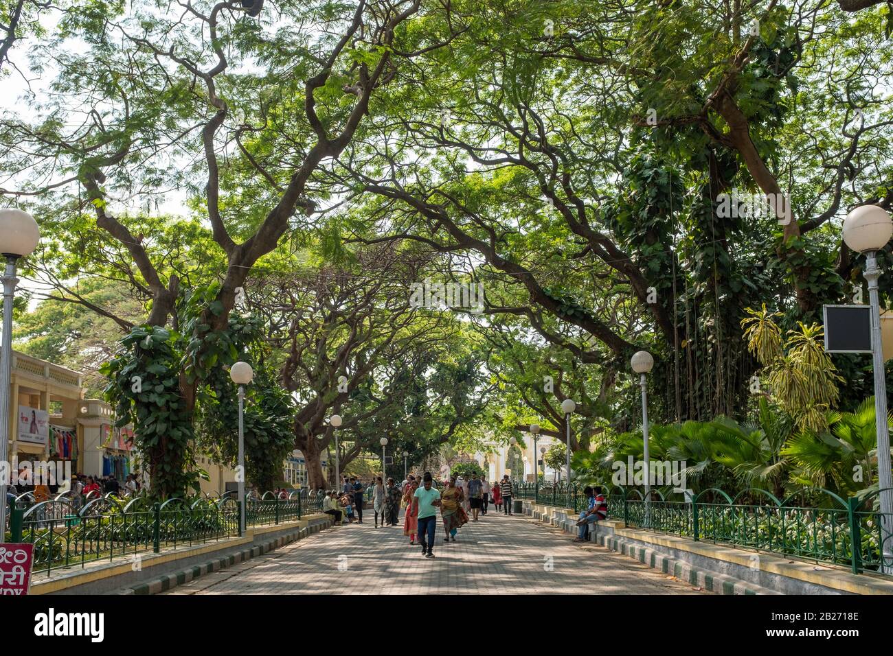 Mysore, Indien - 10. März 2018: Schattiger Pfad außerhalb des Mysore-Palastes mit großen Bäumen und einigen Besuchern Stockfoto