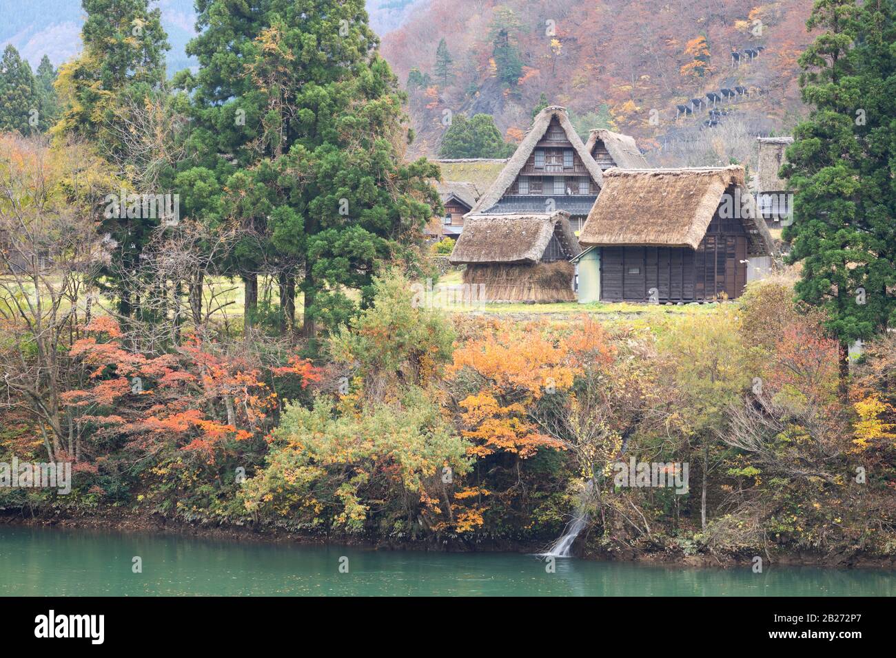 Traditionelle Häuser von Suganuma (UNESCO-Weltkulturerbe), Gokayama, Präfektur Toyama, Japan Stockfoto