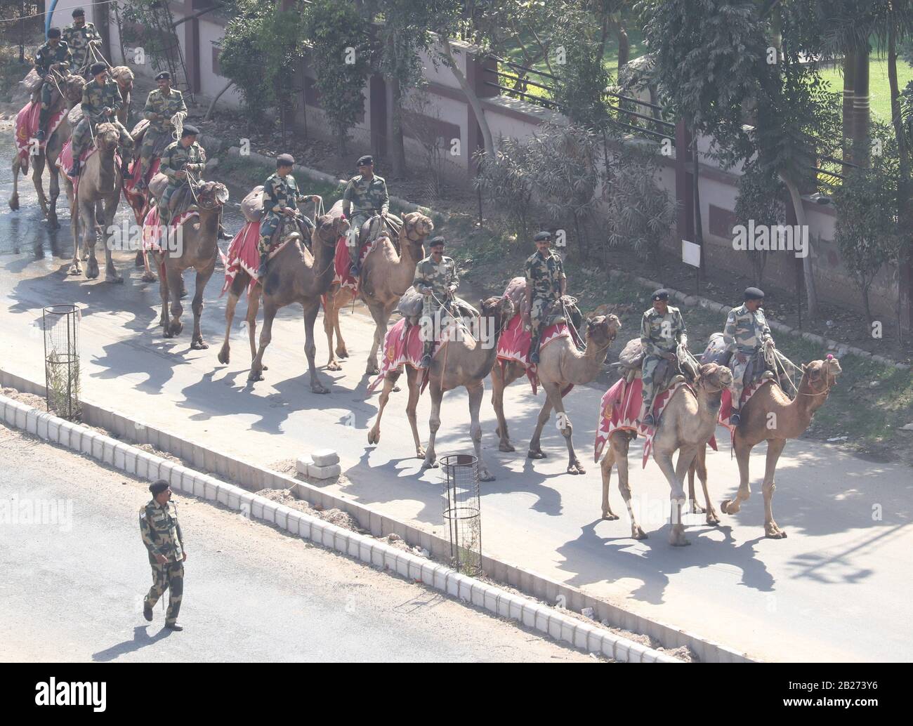 BSF-Soldaten mit Kamelen vor dem Besuch des Präsidenten Der Vereinigten Staaten, Mr. Donald Trump in Motera/Ahmedabad/Gujarat/Indien Stockfoto