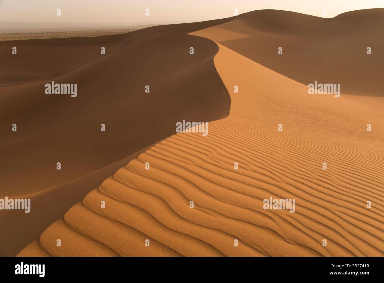 Dünen in der Wüste. Das Sandreliefmaterial ist gut im Vordergrund zu sehen. Stockfoto