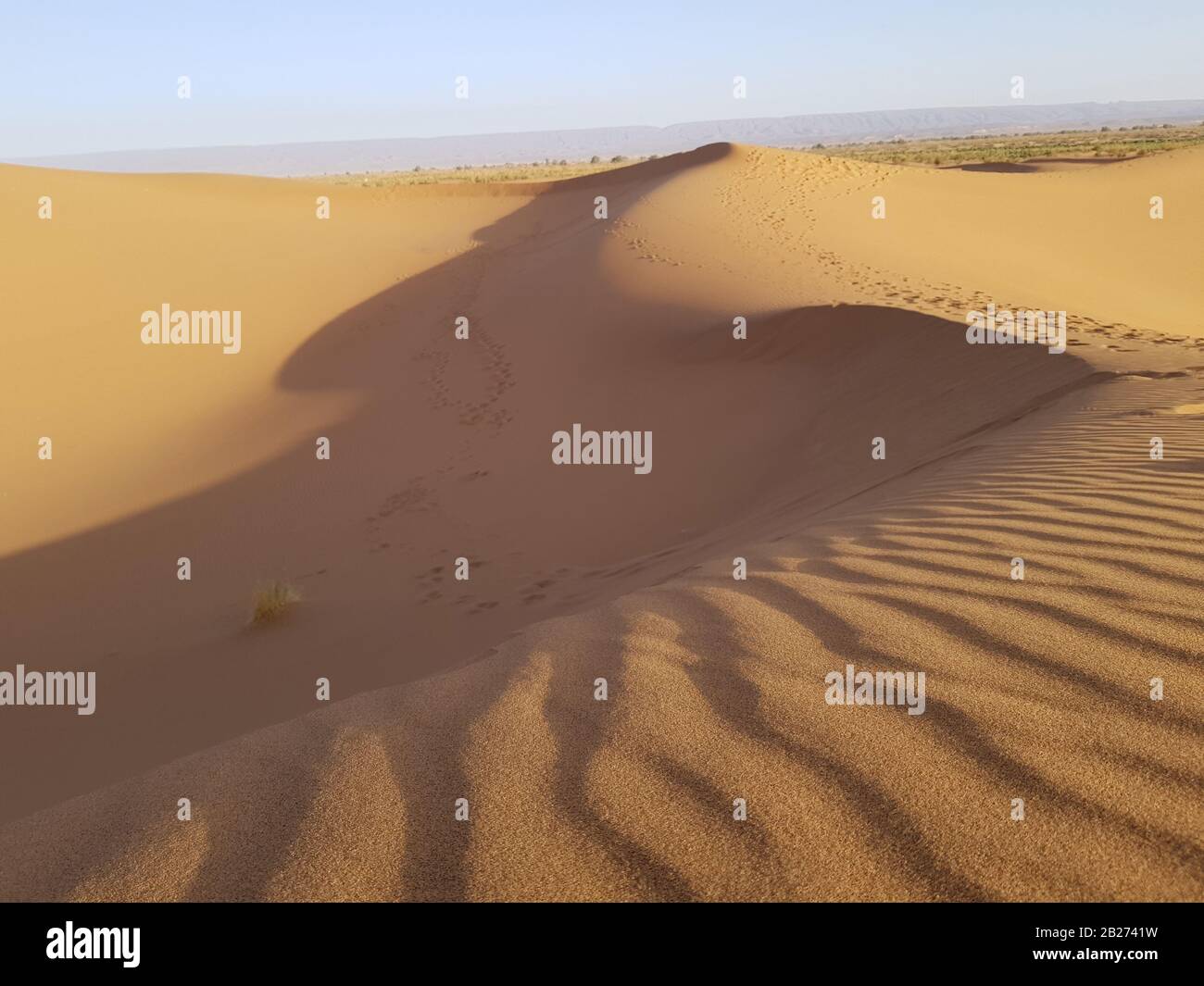 Sahara-Wüstendünen. Strukturierter sandiger Erg im Vordergrund. Stockfoto