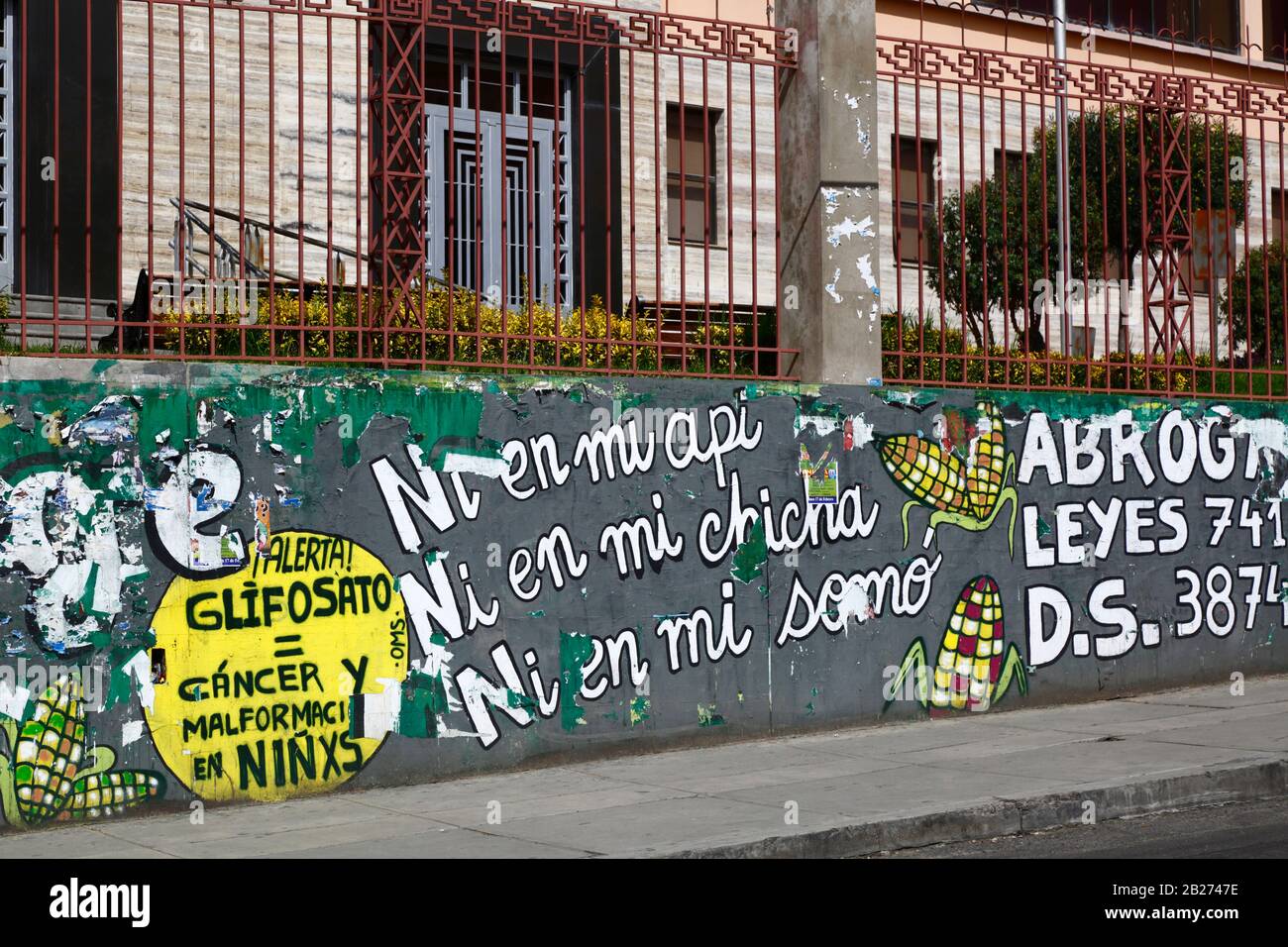 La Paz, Bolivien, 29. Februar 2020: Wandbild, das gegen Gesetze protestiert, um transgene Kulturen neben der Haupt-UMSA-Universität in La Paz zuzulassen. Auf dem gelben Hintergrund auf der linken Seite befinden sich Warnungen vor Glyphosat, das Krebs und Deformierungen bei Kindern verursacht. Die Sätze "Ni en mi / Nicht in meiner api" usw. beziehen sich auf api, Chicha und somo, beliebte traditionelle bolivianische Getränke, die mit Mais/Mais hergestellt werden. Stockfoto
