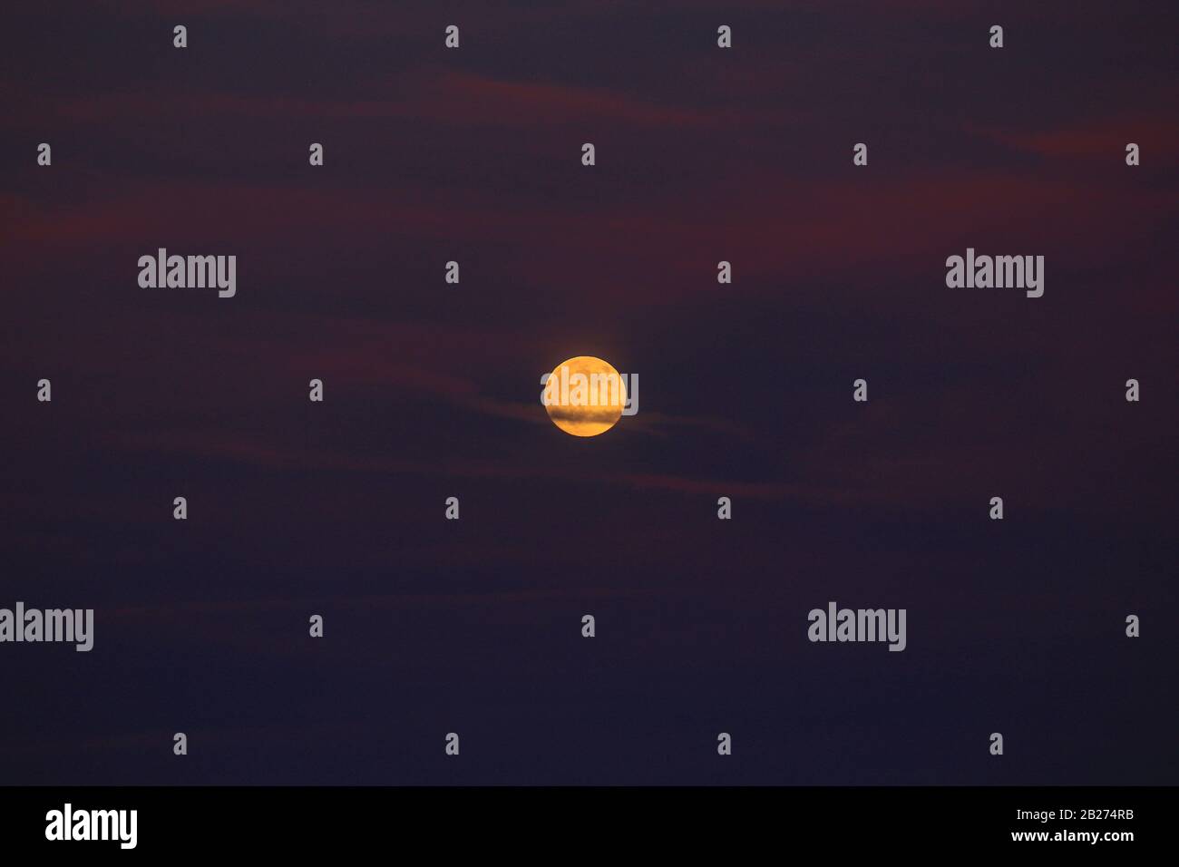 Vollmond in einem violetten Himmel. Stockfoto