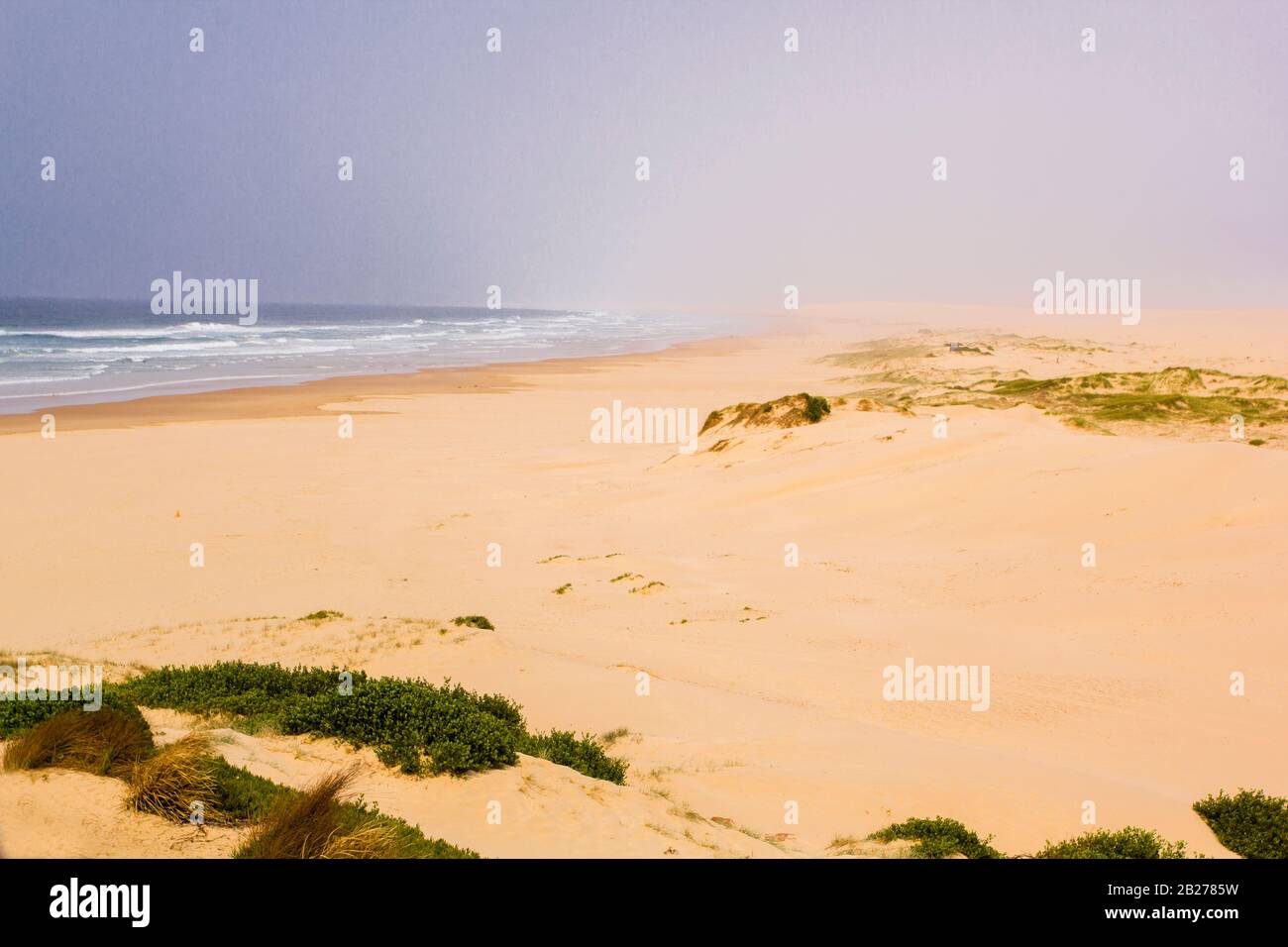 Sanddünen in Anna Bay, Port Stephens, New South Wales, Australien. Stockfoto