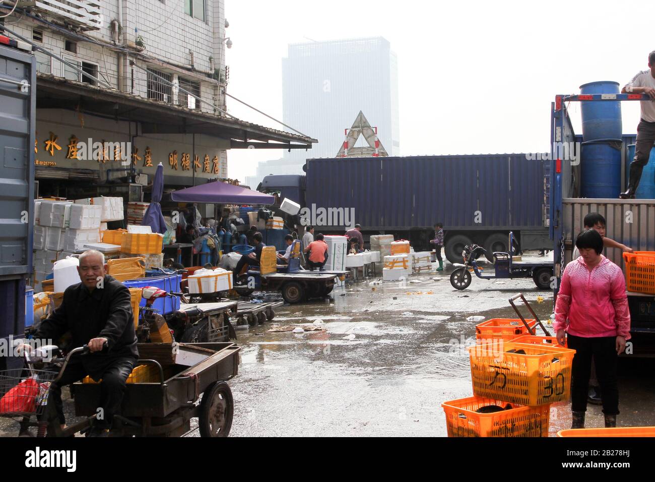 Guangzhou, CHINA - CIRCA MÄRZ 2016: Chinesischer typischer Fisch- und Tiermarkt Stockfoto